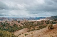 Image: Alan Stewart, [Valley of a Thousand Hills], Reedy Creek, 2019.