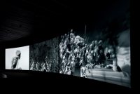 [Richard Mosse: Incoming], The Curve, Barbican Centre, 15 February – 23 April 2017