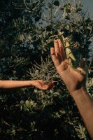 Lisa Sorgini, Ari and Sebastian with the Goliath stick insect. 2021