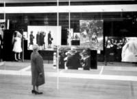 Image: Large scale photographic prints on display for the Urban Women exhibition at Melbourne Town Hall, 1963 (NLA)