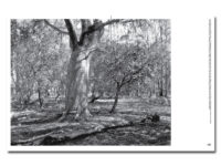 OnCountry_spread13 1