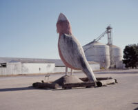 Trent Mitchell, from the series Australian Lustre, 2024. Courtesy the artist.